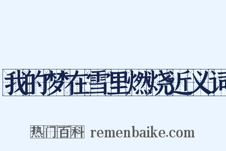 我的梦在雪里燃烧近义词是什么意思的图片